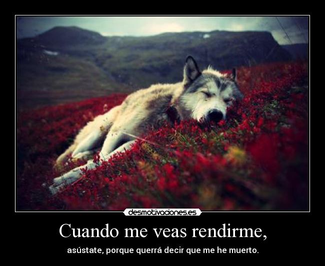 Cuando me veas rendirme, - asústate, porque querrá decir que me he muerto.