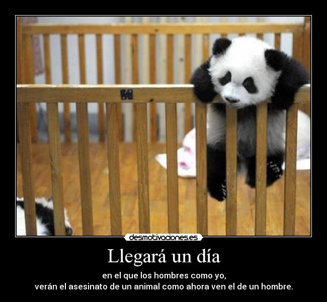 Llegará un día - en el que los hombres como yo,
verán el asesinato de un animal como ahora ven el de un hombre.