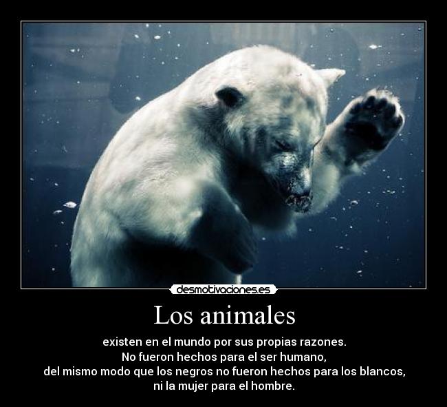 carteles animales susanita tiene raton muy flipy89 resubido que quiere mucho alice walker desmotivaciones