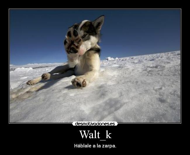 Walt_k - Háblale a la zarpa.