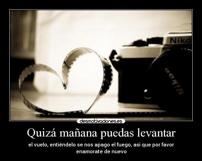 Quizá mañana puedas levantar - el vuelo, entiéndelo se nos apago el fuego, asi que por favor enamorate de nuevo