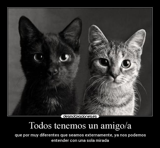 Todos tenemos un amigo/a -