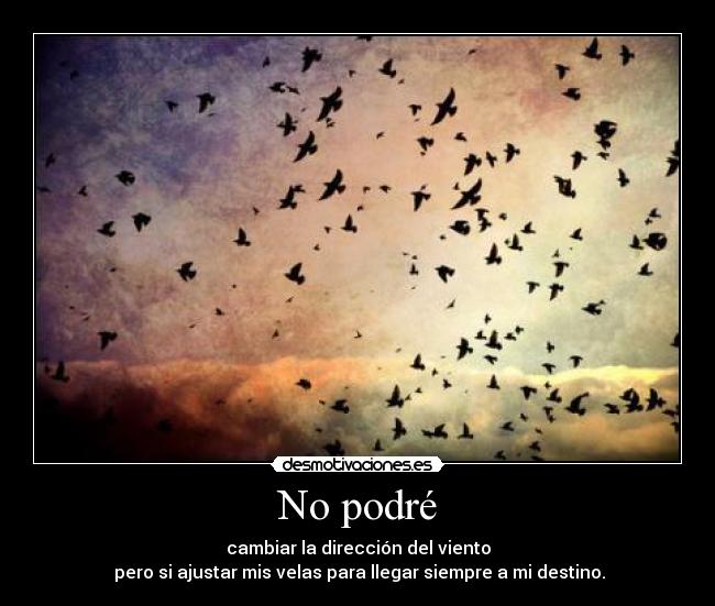 No podré -