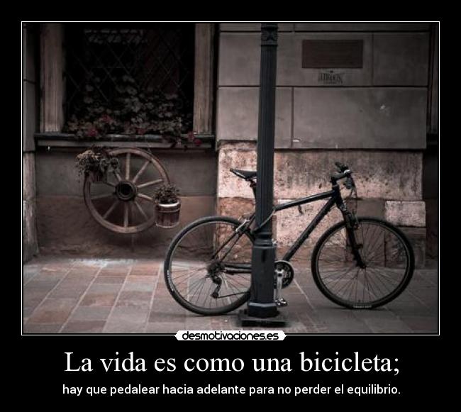 La vida es como una bicicleta; - hay que pedalear hacia adelante para no perder el equilibrio.