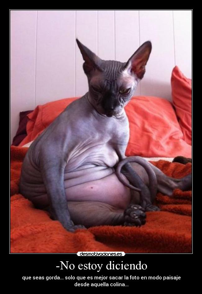 -No estoy diciendo - que seas gorda... solo que es mejor sacar la foto en modo paisaje
desde aquella colina...