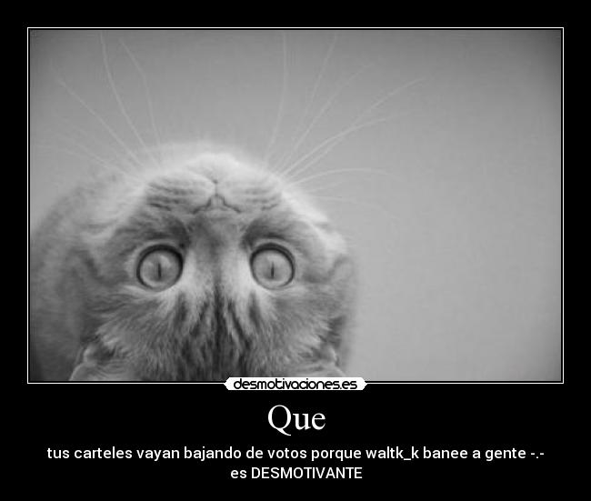 Que - tus carteles vayan bajando de votos porque waltk_k banee a gente -.-
es DESMOTIVANTE