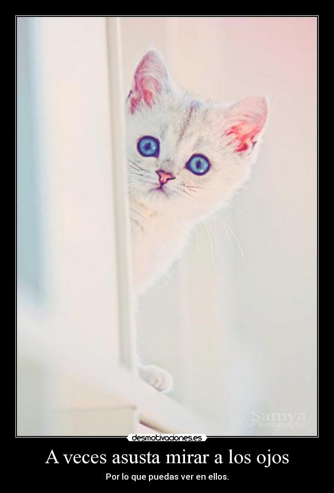 A veces asusta mirar a los ojos - Por lo que puedas ver en ellos.