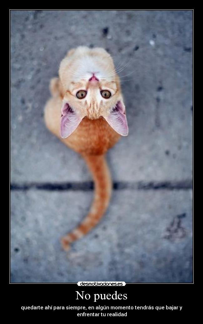No puedes - quedarte ahí para siempre, en algún momento tendrás que bajar y
enfrentar tu realidad