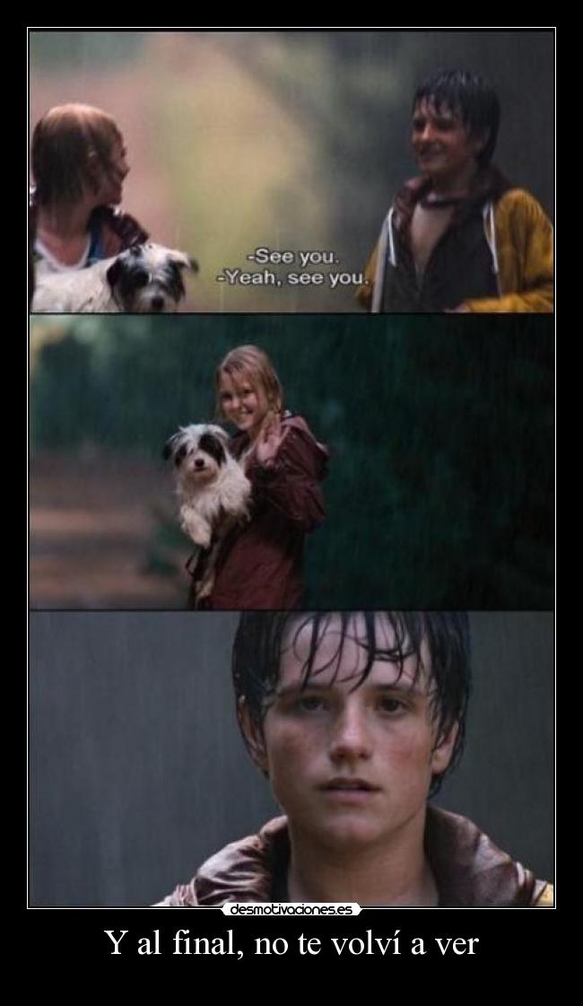 Y al final, no te volví a ver -