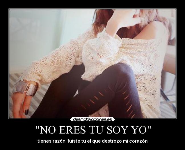 NO ERES TU SOY YO - tienes razón, fuiste tu el que destrozo mi corazón