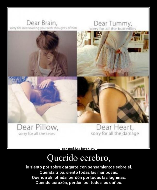 Querido cerebro, - 