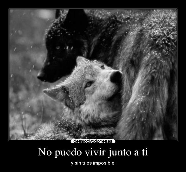 No puedo vivir junto a ti -