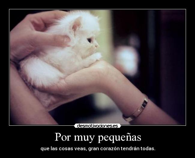 Por muy pequeñas - que las cosas veas, gran corazón tendrán todas.