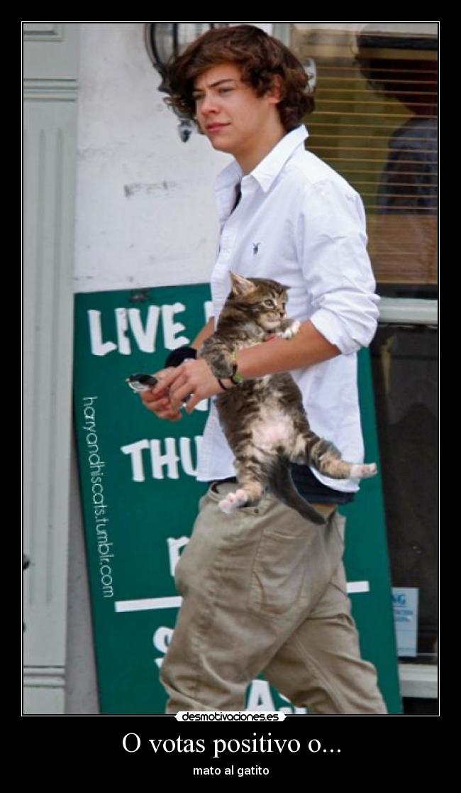 O votas positivo o... - mato al gatito