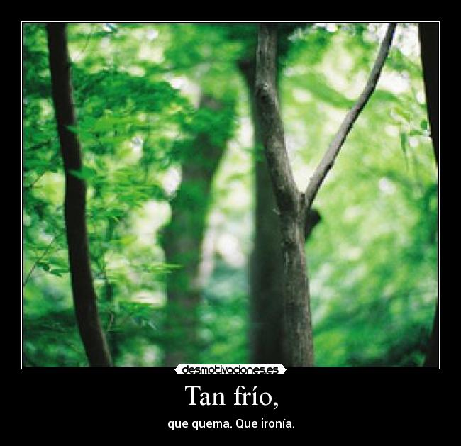 Tan frío, - que quema. Que ironía.