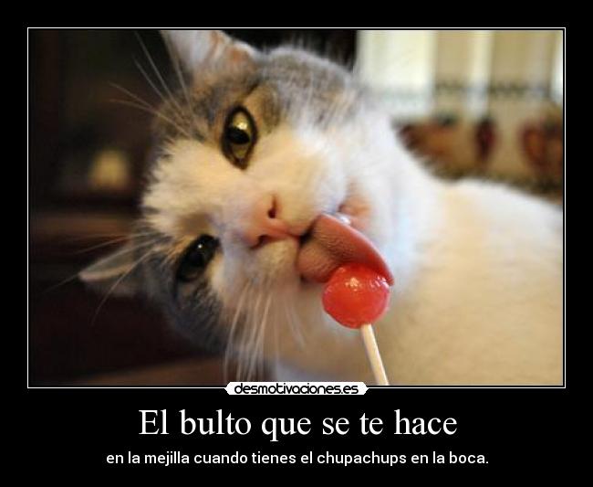 carteles alwayscool nanananana amigo amor nananana hola guapo que lea yao desmotivaciones