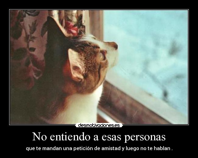No entiendo a esas personas - que te mandan una petición de amistad y luego no te hablan .