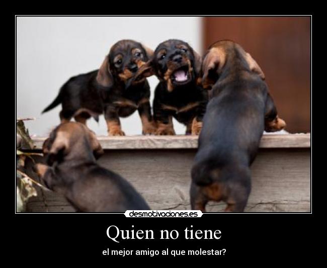 Quien no tiene -
