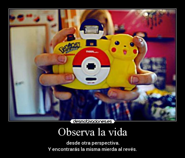 Observa la vida -