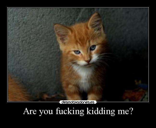 Are you fucking kidding me? -