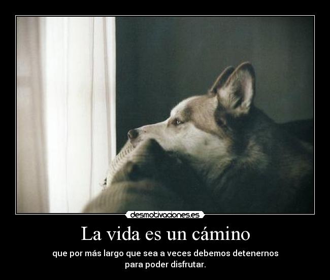 La vida es un cámino -