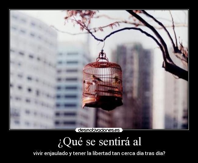 ¿Qué se sentirá al - 