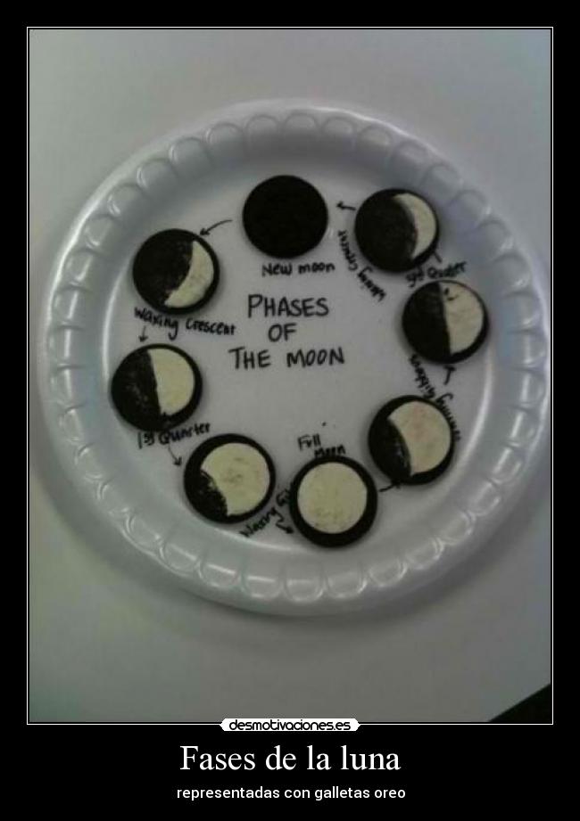 Fases de la luna -