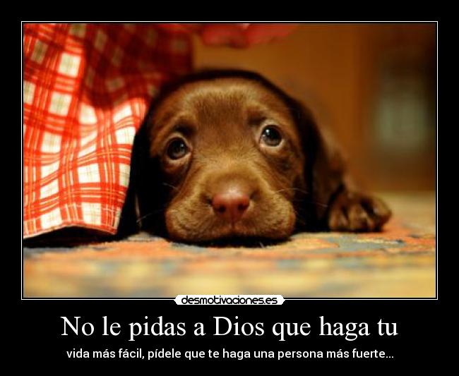 No le pidas a Dios que haga tu - 