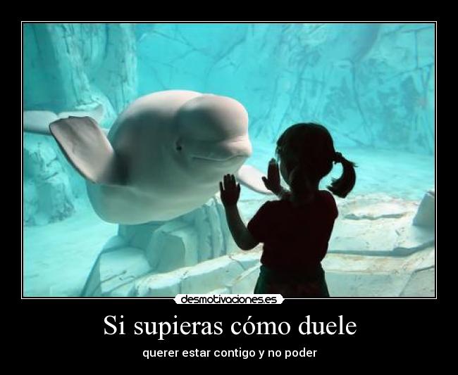 Si supieras cómo duele - querer estar contigo y no poder