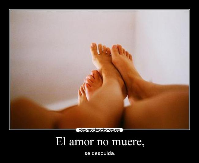 El amor no muere, - se descuida.