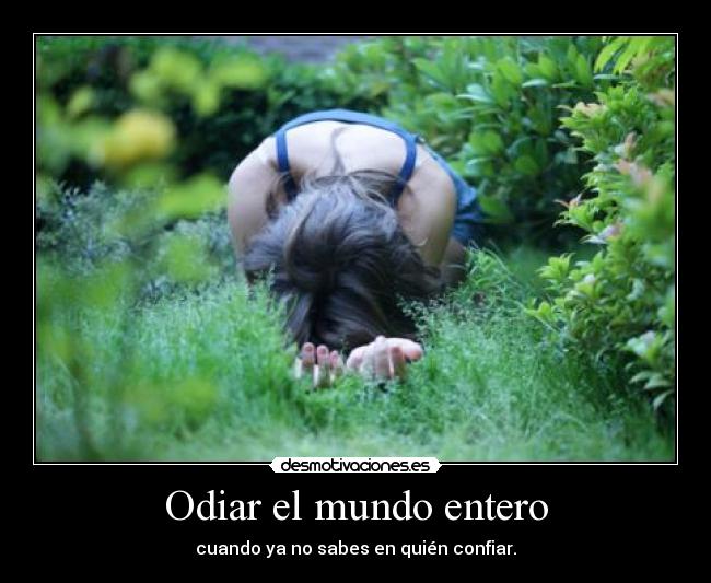 Odiar el mundo entero - 