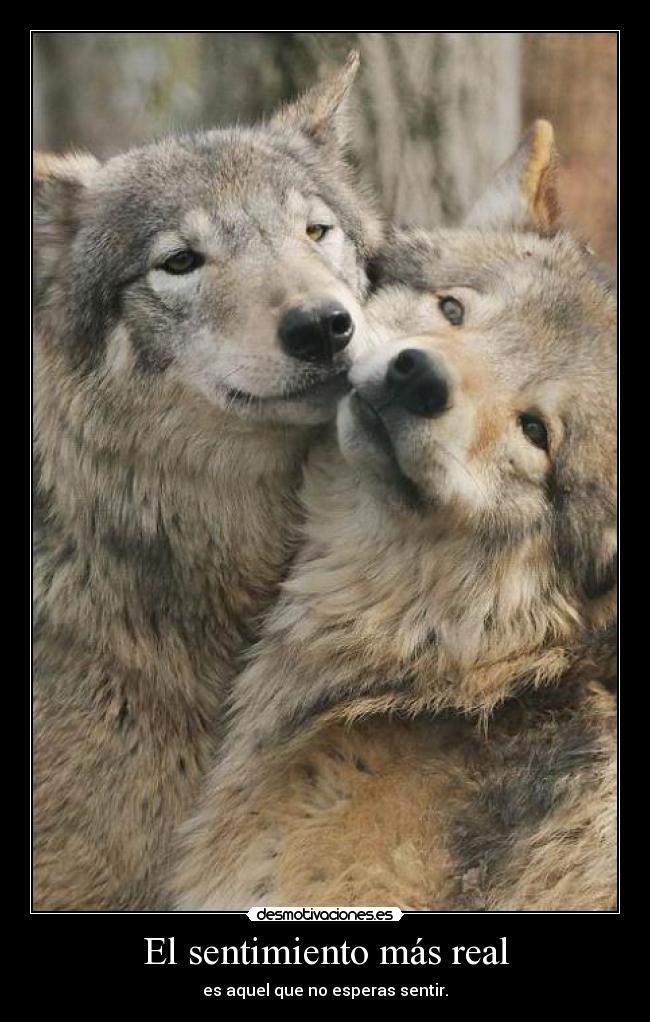 carteles bulma272 las grandes ilusiones que crean barra fer somos los mejores nam nam nam desmotivaciones