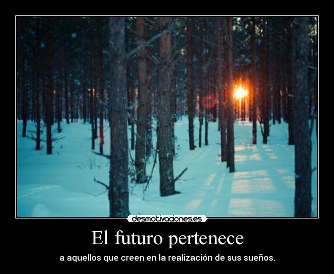 carteles beauty dreams desmotivaciones