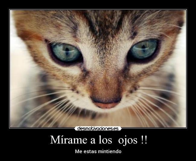 Mírame a los ojos !! -
