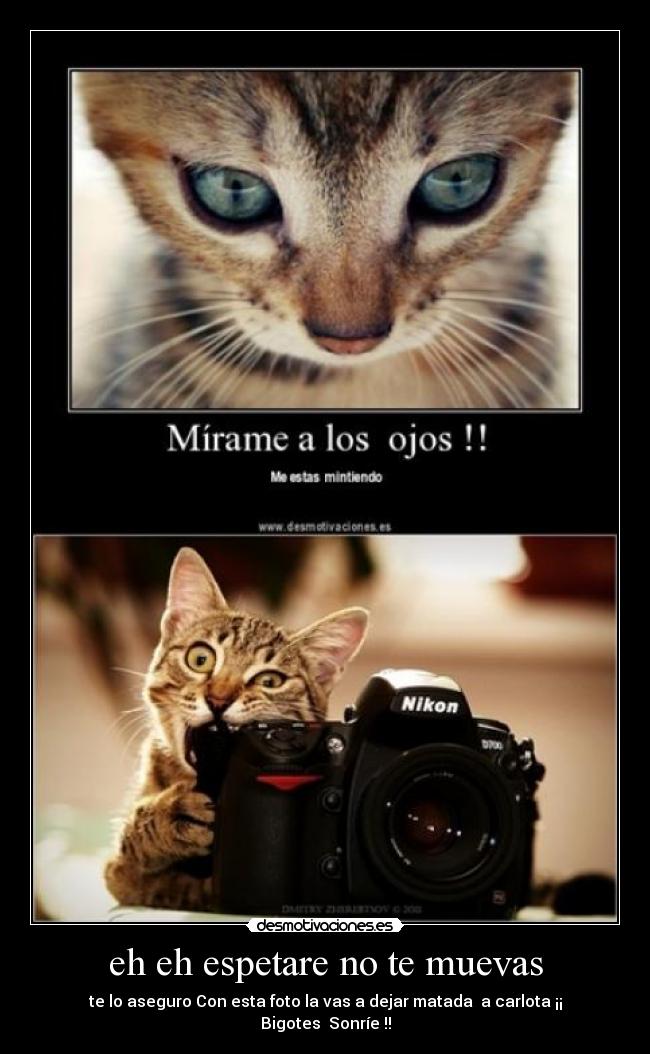 eh eh espetare no te muevas -