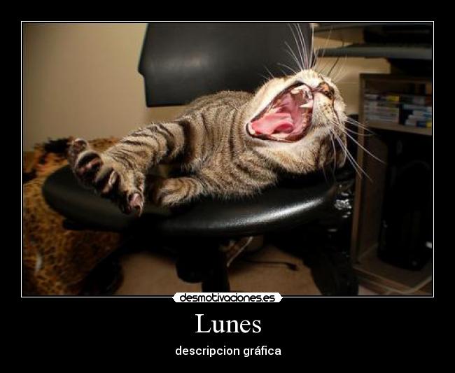 Lunes - 