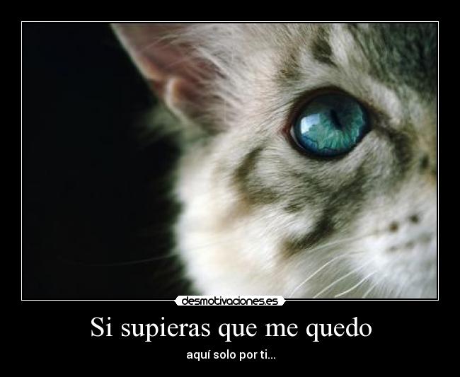 Si supieras que me quedo - aquí solo por ti...