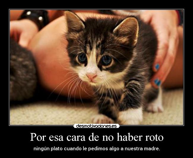 Por esa cara de no haber roto -