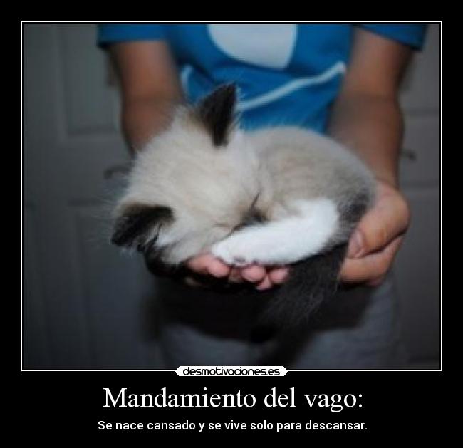 Mandamiento del vago: - 