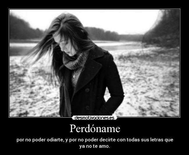 carteles puedo odiarte desmotivaciones