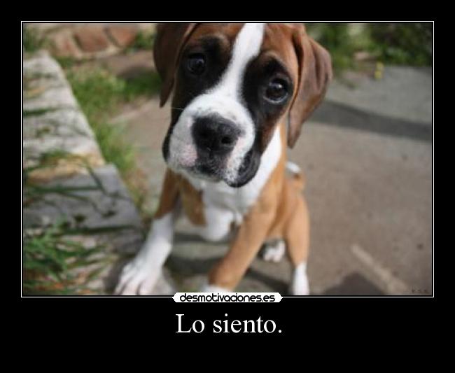 Lo siento. - 