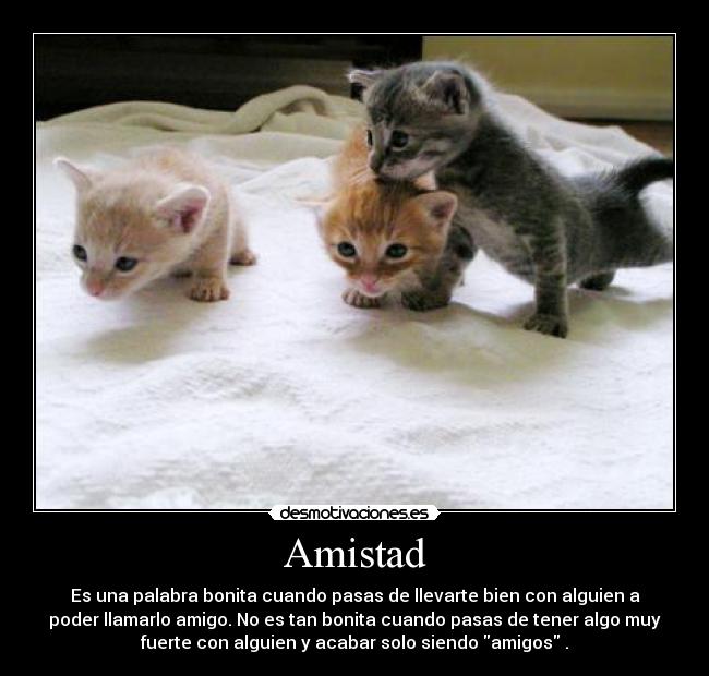 Amistad -