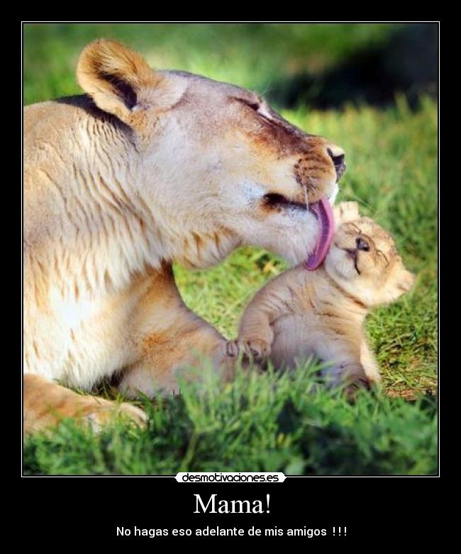 carteles mamaaa desmotivaciones