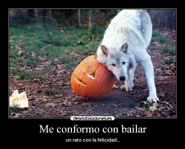 Me conformo con bailar - un rato con la felicidad...
