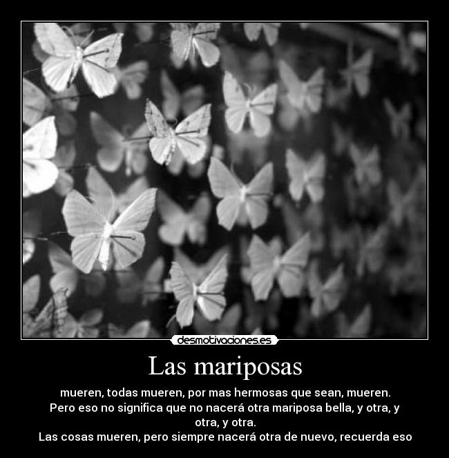 Las mariposas - mueren, todas mueren, por mas hermosas que sean, mueren.
Pero eso no significa que no nacerá otra mariposa bella, y otra, y otra, y otra.
Las cosas mueren, pero siempre nacerá otra de nuevo, recuerda eso