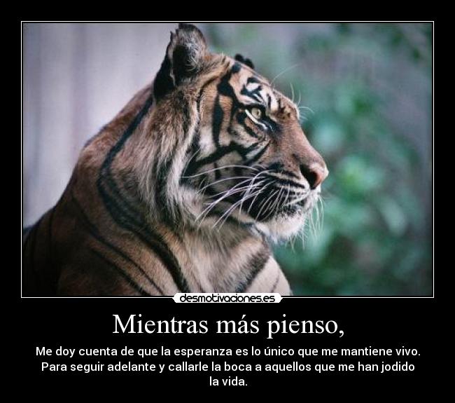 Mientras más pienso, - 