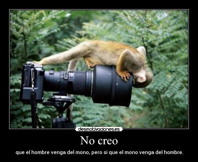 No creo - que el hombre venga del mono, pero si que el mono venga del hombre.