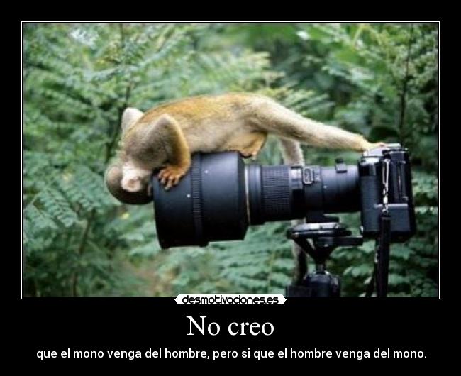 No creo - que el mono venga del hombre, pero si que el hombre venga del mono.