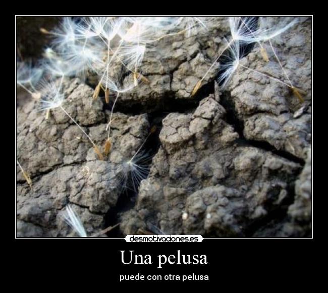 Una pelusa - puede con otra pelusa