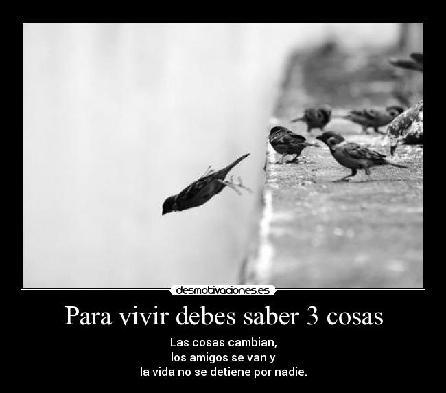 Para vivir debes saber 3 cosas - Las cosas cambian,
los amigos se van y
la vida no se detiene por nadie.